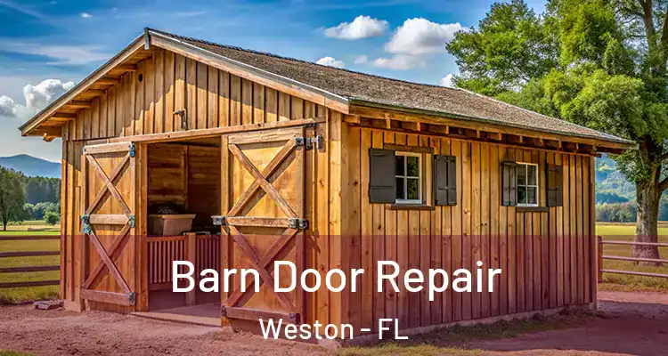  Barn Door Repair Weston - FL