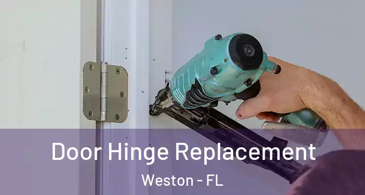  Door Hinge Replacement Weston - FL