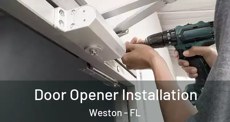 Door Opener Installation Weston - FL