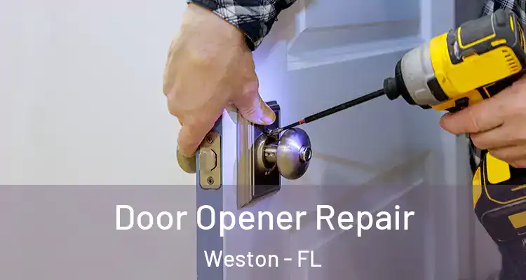  Door Opener Repair Weston - FL