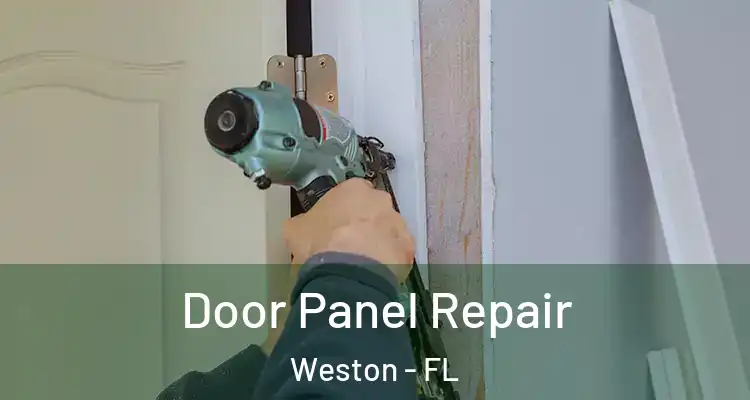  Door Panel Repair Weston - FL