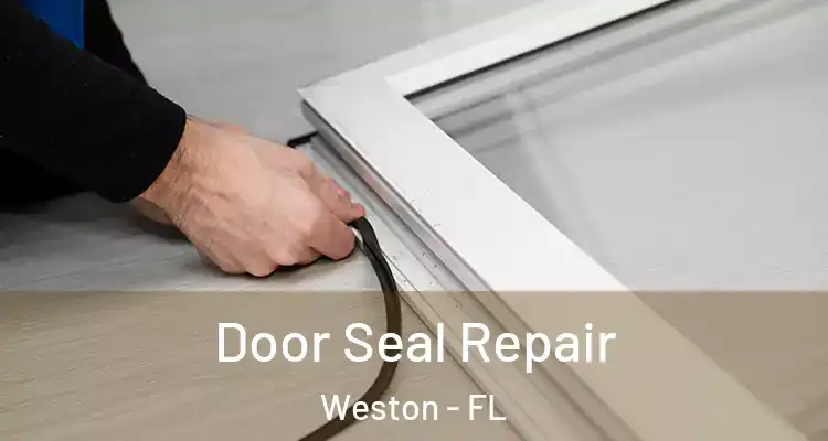  Door Seal Repair Weston - FL