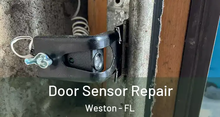  Door Sensor Repair Weston - FL