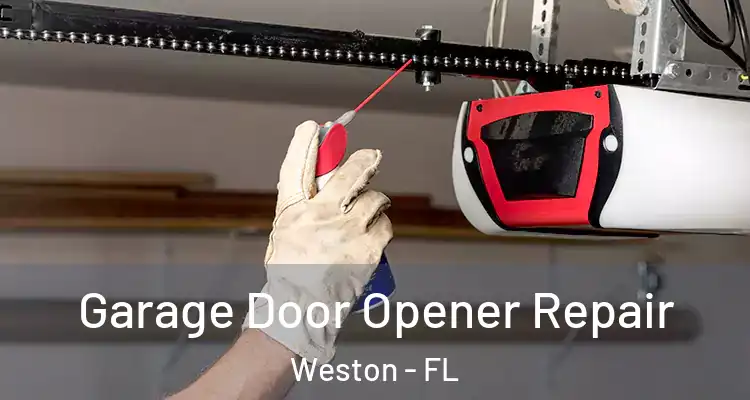  Garage Door Opener Repair Weston - FL