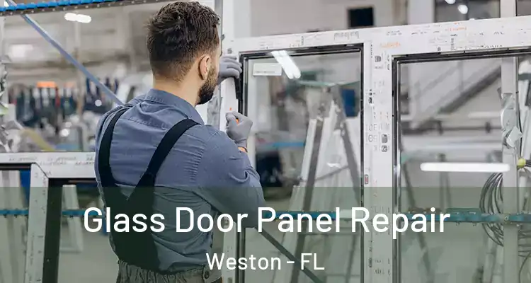  Glass Door Panel Repair Weston - FL