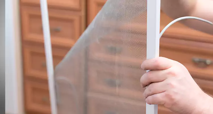 Privacy Mesh Screen Door Installation in Weston, FL