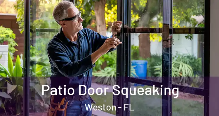  Patio Door Squeaking Weston - FL