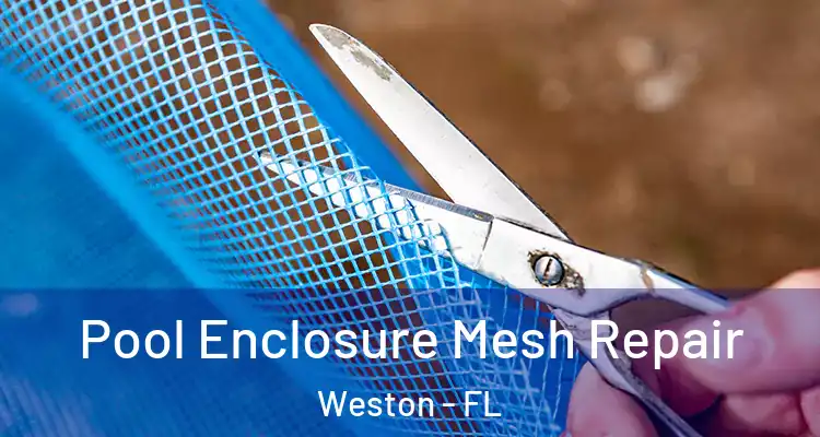  Pool Enclosure Mesh Repair Weston - FL