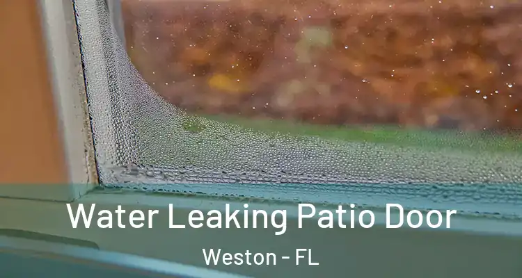  Water Leaking Patio Door Weston - FL